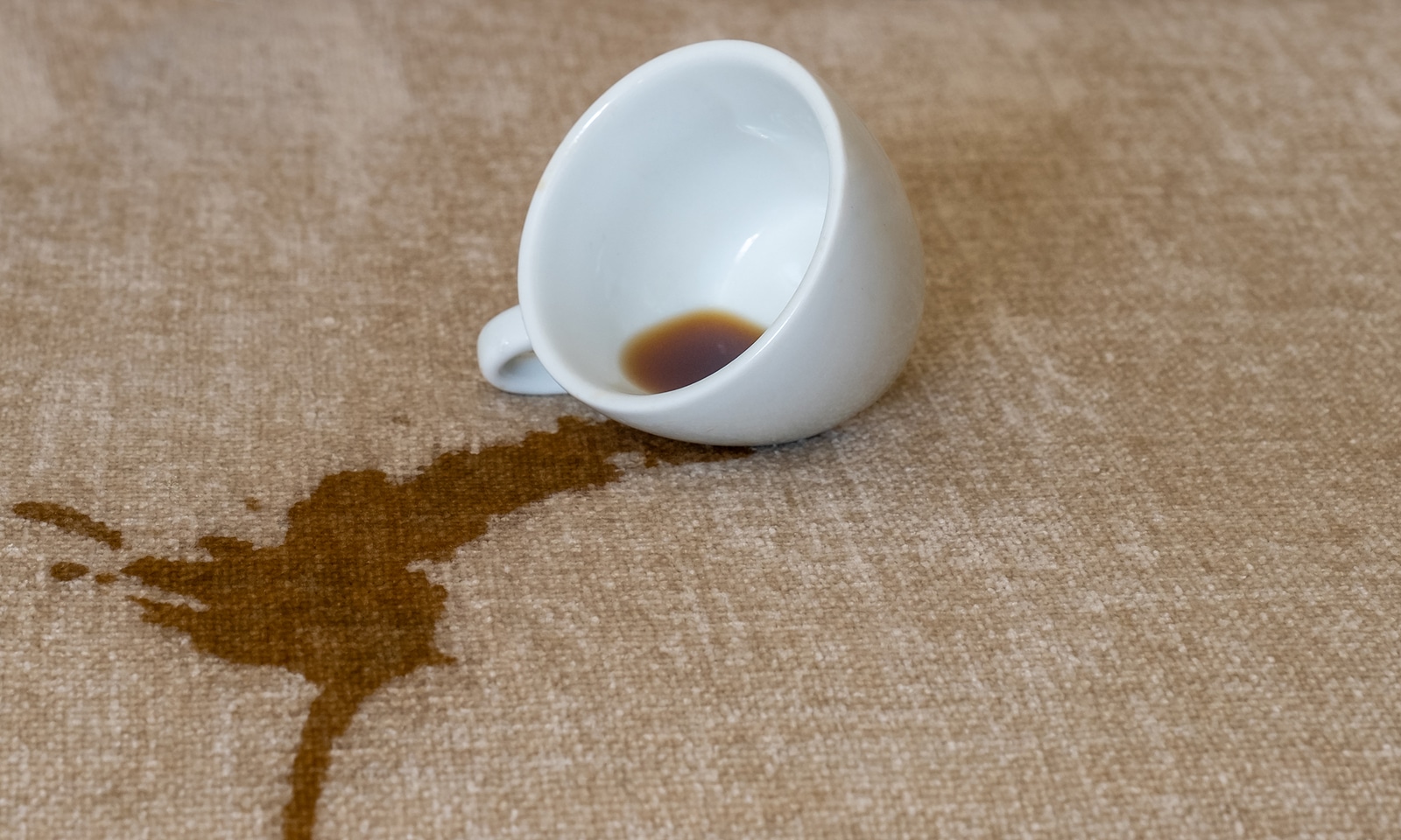 stain removal services in norfolk va