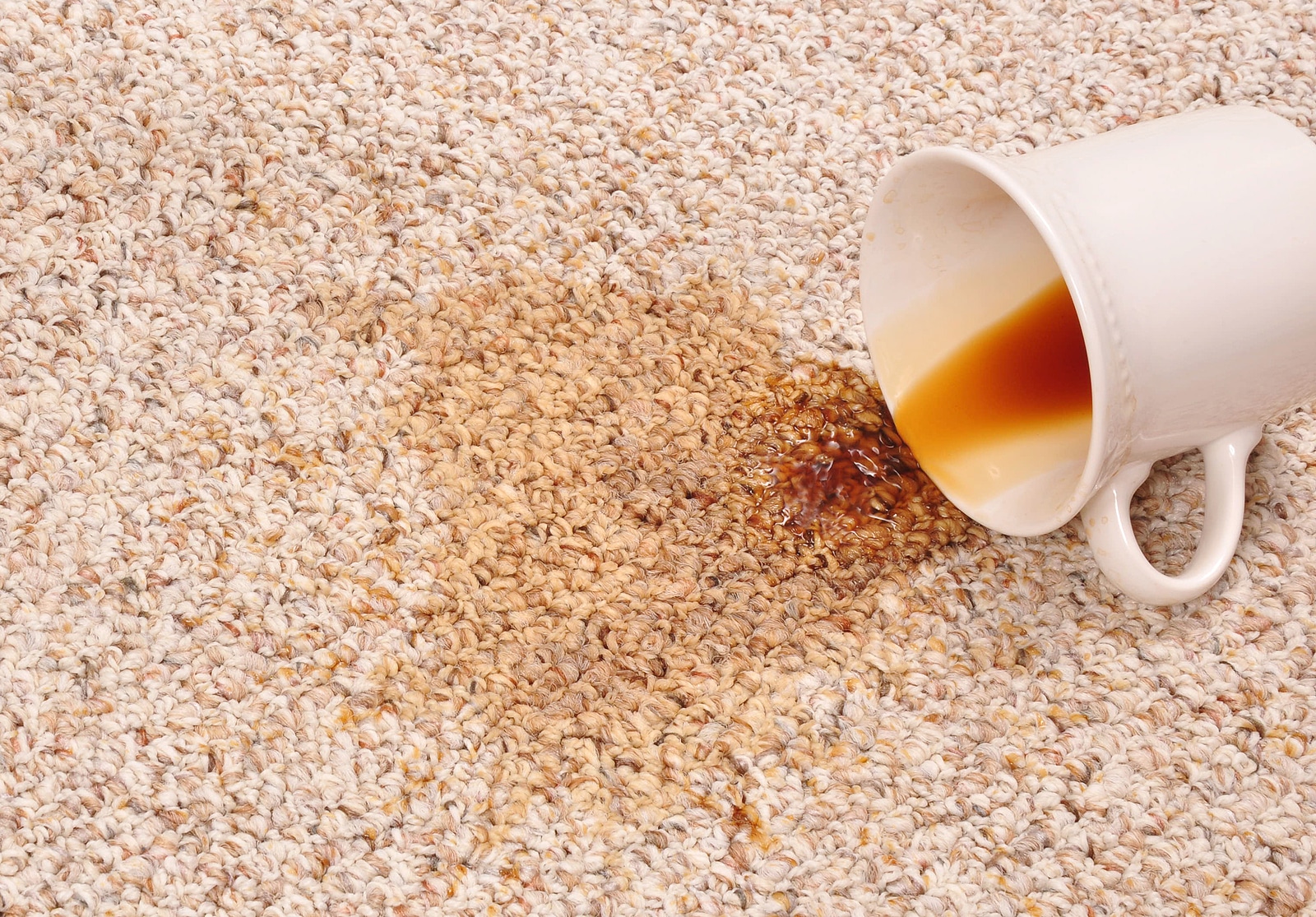 carpet stain removal services in norfolk va